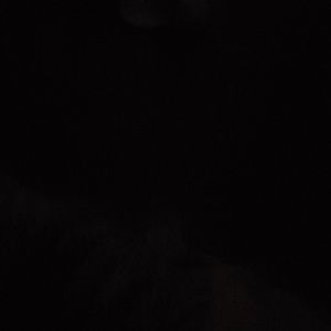 Meet your Posher, Regina